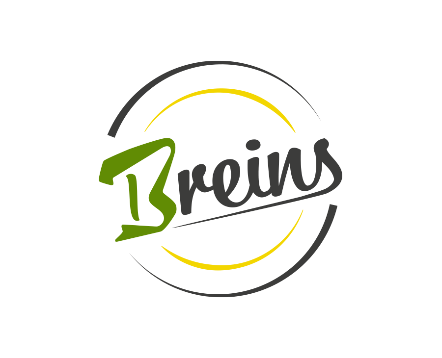 Logo Breins